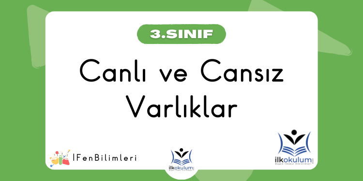 Canlı ve Cansız Varlıklar 3. Sınıf Fen Bilimleri