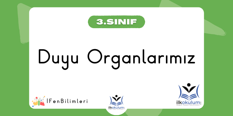 Duyu Organlarımız 3. Sınıf Fen Bilimleri
